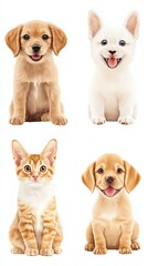 Cute puppies and kitten in various poses.