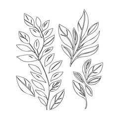 Elegant Branch Outlines against White Backdrop