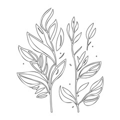 Delicate Floral Outline: Botanical Vector Art