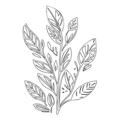 Botanical Line Art Illustration of Leafy Plant