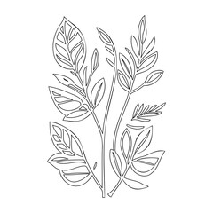 Outlined Botanical Illustration on White Canvas