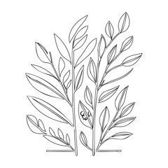Monochrome Botanical Leaves Minimalistic Outlines