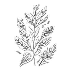 Botanical Branch with Veined Leaf Outlines Design