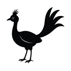 Lyrebird Silhouette Vector Art Design and Black And White Lyrebird Bird Vector Illustration