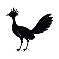 Lyrebird Silhouette Vector Art Design and Black And White Lyrebird Bird Vector Illustration