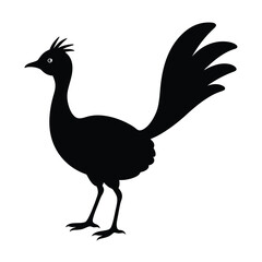 Lyrebird Silhouette Vector Art Design and Black And White Lyrebird Bird Vector Illustration