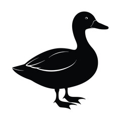 Mallard Silhouette Vector Art Design and Black and White Mallard Bird Vector Illustration