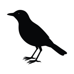 Manakin Silhouette Vector Art Design and Black and White Manakin Bird Vector Illustration