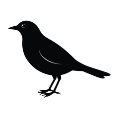 Manakin Silhouette Vector Art Design and Black and White Manakin Bird Vector Illustration