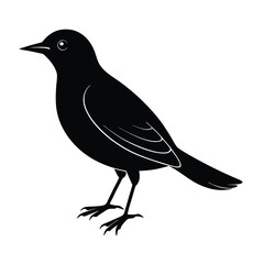 Manakin Silhouette Vector Art Design and Black and White Manakin Bird Vector Illustration
