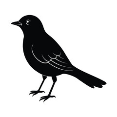 Manakin Silhouette Vector Art Design and Black and White Manakin Bird Vector Illustration