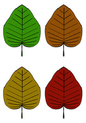 Obraz premium It is an illustration of a leaf.