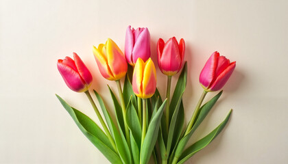 Fototapeta premium Colorful tulips arranged on a light background for greeting cards 