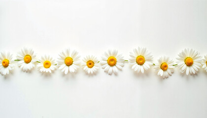 Obraz premium Floral greeting card with daisies and blank space for text 