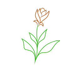 Elegant outline of a flower in green and brown, symbolizing nature's beauty and growth