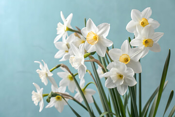 White daffodils on a light blue sky background