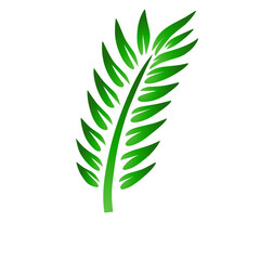 Fototapeta premium Vibrant green fern leaf illustration showcasing intricate details and natural beauty against white backdrop