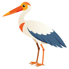 Stork isolated on white background