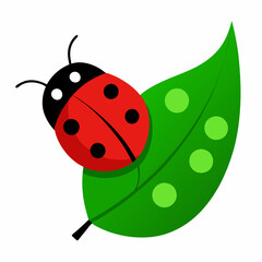 Obraz premium Ladybug on a green leaf vector