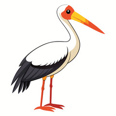 Stork isolated on white background
