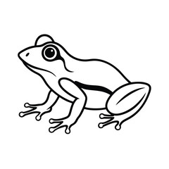 frog line art vector on white background