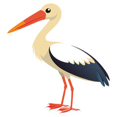 Stork isolated on white background