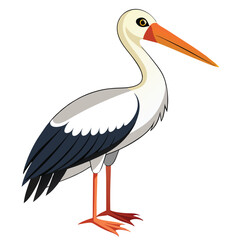 Stork isolated on white background