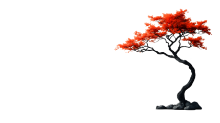 Elegant Bonsai Tree with Vibrant Red Foliage