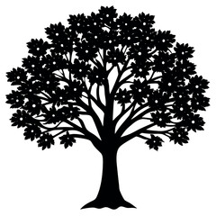 A Chinese-Pistache-tree-silhouette-vector-illustration. 