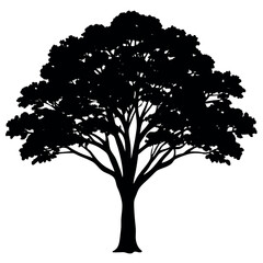 A jacaranda-tree-silhouette-vector-illustration 