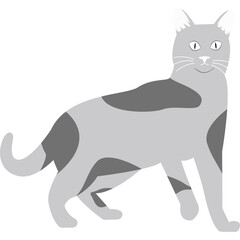 Cat Vector Illustration