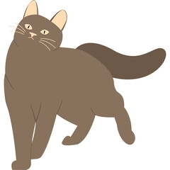 Cat Vector Illustration