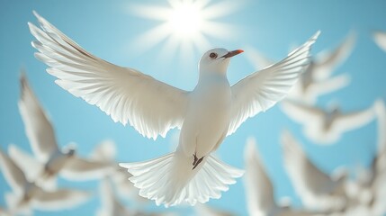 Fototapeta premium White Bird in Flight: A Symphony of Serenity
