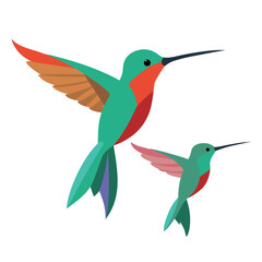 Fototapeta premium Hummingbird-hover tiny suspended-hummingbirds 