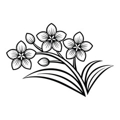 Orchid flower Silhouette on a white background