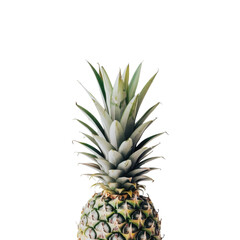 Fototapeta premium Pineapple: A Tropical Delight