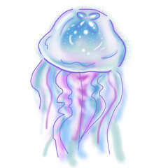 Fototapeta premium jellyfish 