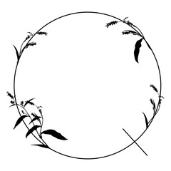 Capital letter Q with floral motifs. Botanical alphabet with herbs and wildflowers. Blooming branches of Polygonum plant. Knotweed or Smartweed flower. Black silhouette on white background