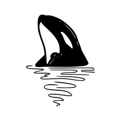 orca breaching water illustration © Zen20