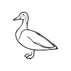 minimalist duck drawing