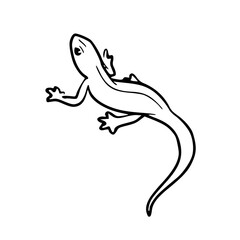 line art drawing of a small reptile