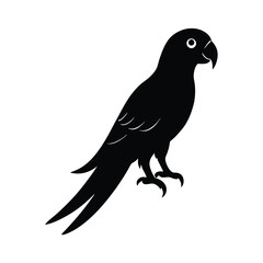 Parrot Silhouette Vector Art – Black and White Parrot Bird Illustration