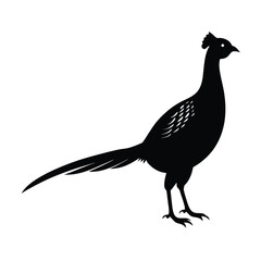 Pheasant Silhouette Vector Art Design | Black and White Pheasant Bird Vector Illustration