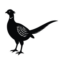 Pheasant Silhouette Vector Art Design | Black and White Pheasant Bird Vector Illustration