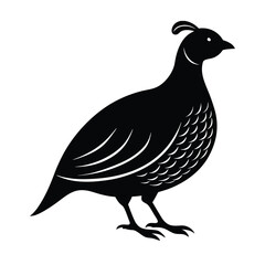Quail Silhouette Vector Art – Black and White Quail Bird Illustration Design
