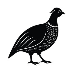 Quail Silhouette Vector Art – Black and White Quail Bird Illustration Design