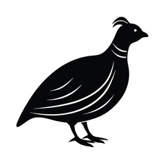 Quail Silhouette Vector Art – Black and White Quail Bird Illustration Design