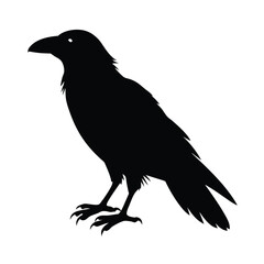 Raven Silhouette Vector Art Design - Black and White Raven Bird Vector Illustration