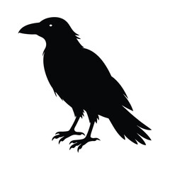 Raven Silhouette Vector Art Design - Black and White Raven Bird Vector Illustration