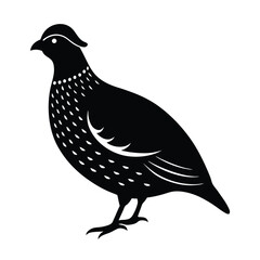 Quail Silhouette Vector Art – Black and White Quail Bird Illustration Design